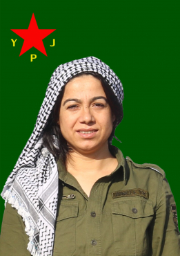 JIYAN TOLHILDAN