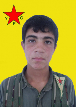 HOGIR HAWAR