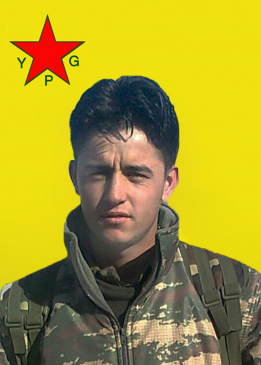 KOBER ŞEDADE