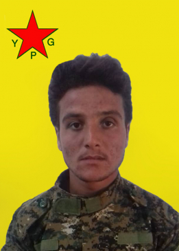 EHMED ŞEDADE