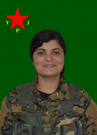 ŞEVÎN PÎROZ