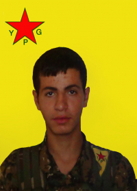 ROJVAN AMED