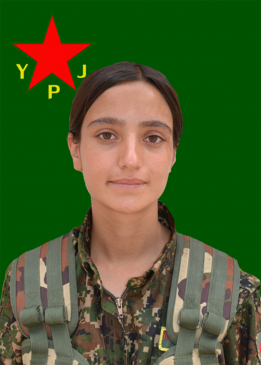 NEWROZ RODÎ