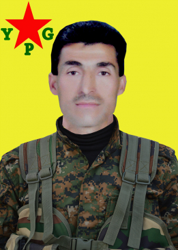 ELÎ QAMIŞLO