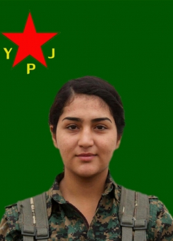 AVAŞİN DEMHAT
