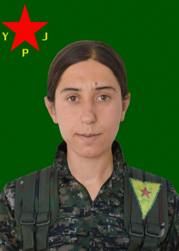 DIYANA DERSIM