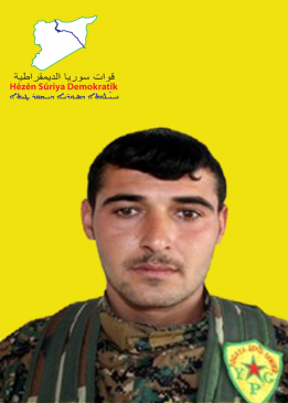 DILŞER ROJAVA