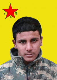 MEHMUD ELZEHLAN