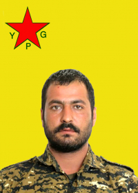 RONÎ SERÊKANÎ