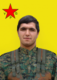 DEMHAT NERGİZ