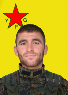 ELÎ AMED