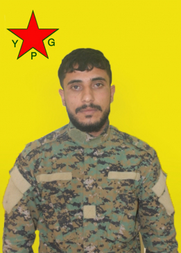 GELHAT QAMIŞLO