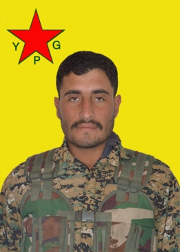 BENGİN HARSA