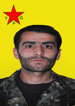 ELÎ XINIS