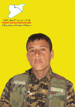 HUMSÎ HUMUS
