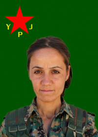 AMARA QEHREMAN