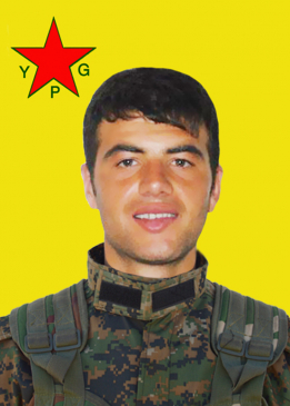 ZINAR TEKMAN