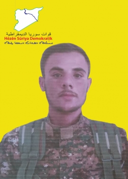 ARAS ELÎ