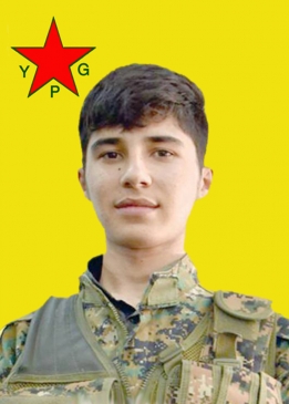 ALAN ARARAT