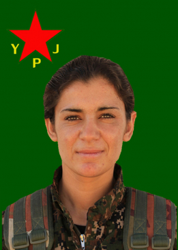 ŞÎLAN KOBANÊ