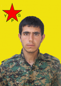 ŞERZAN BOTAN