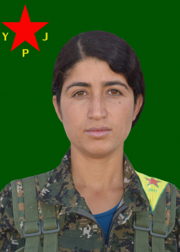 ZÎLAN KOBANÊ