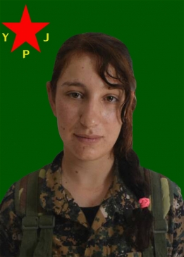 ARİN RONAHİ
