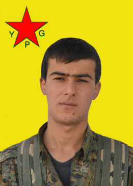 EG&Icirc;D AMED