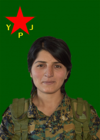 ŞAYAN CUDÎ