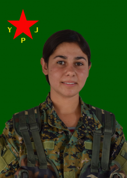 DILOVAN ŞERAN