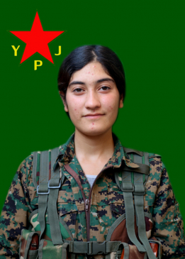 AGIRÎ ZAGROS