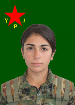 ŞÎMAL NEWROZ