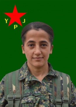 BERİTAN ELBAK