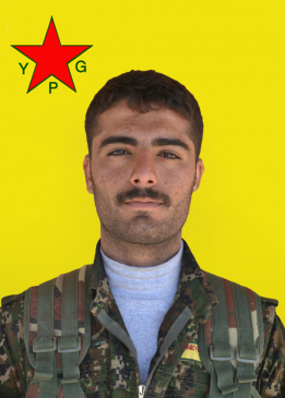 RONÎ HEYV