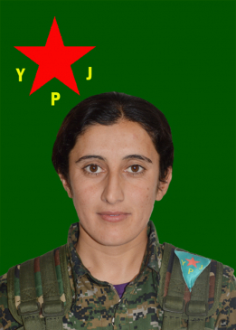 ZÎLAN BOTAN