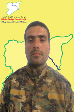 ELÎ ŞEDADÊ