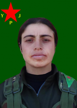 RONAHÎ GAP