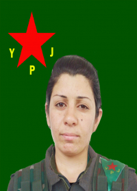 NEJBÎR KOBANÊ
