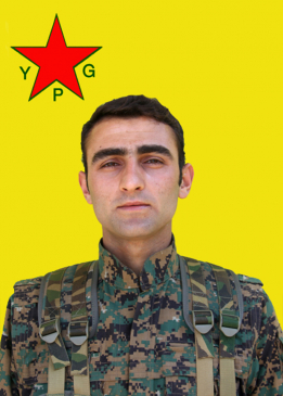 SERHILDAN GOYİ