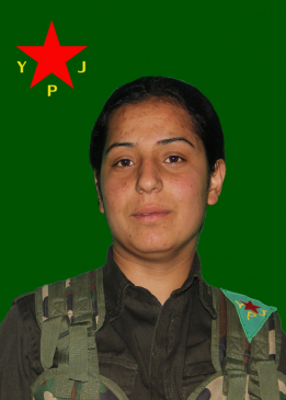 AMARA QENDÎL