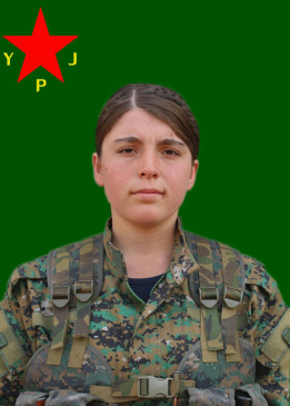 BERFÎN KOBANÊ