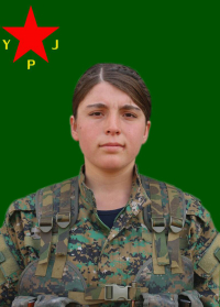 BERFÎN KOBANÊ