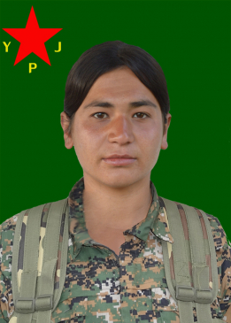 TEKOŞÎN GARISA