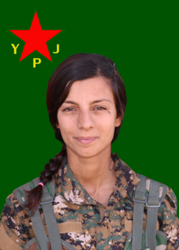 ZÎLAN ZOZAN GOYİ