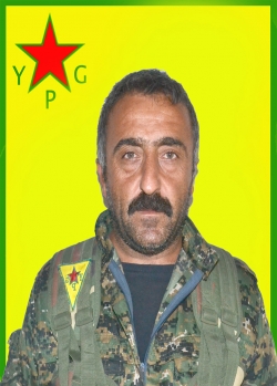 ARIF GOYÎ