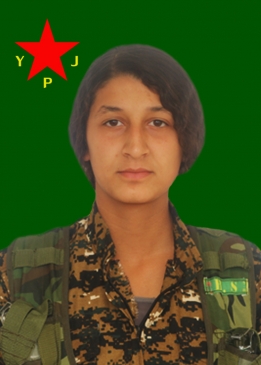 ARYEN QENDÎL