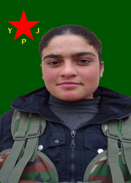 SARÎNA ÇIYA