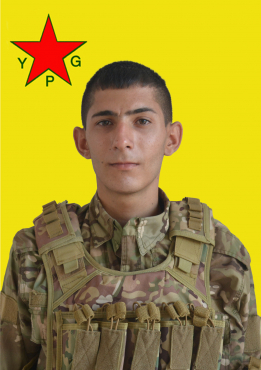 ŞAHÎN ŞEHBA