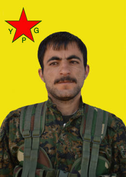 NASIR ŞAHÎN