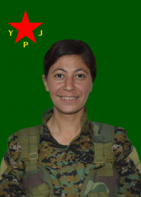 ZÎLAN BERJÎN SÎVEREK
